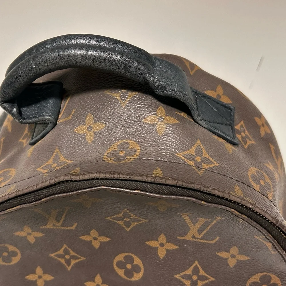 SOLD Louis Vuitton Palm Springs PM - Picture 2 of 15
